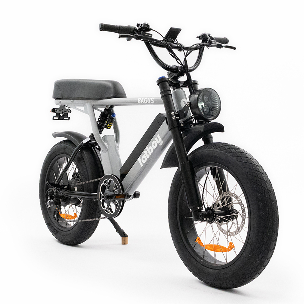 Fatboy electric 2024 bike for sale