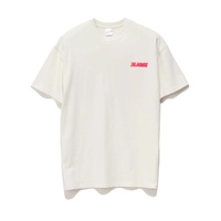 XLARGE Tee Slanted Chenille Chalk image