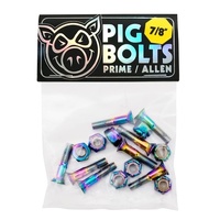 Pig Bolts 1 inch Allen Prime image