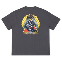 Santa Cruz Tee Natas Screaming Panther Washed Black image