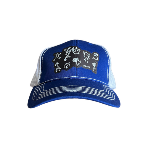 Eternal Hat Doodles White/Royal